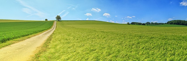 草原と青空