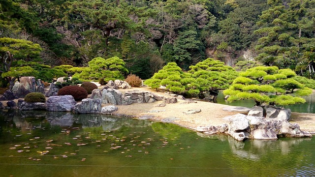 水辺の緑